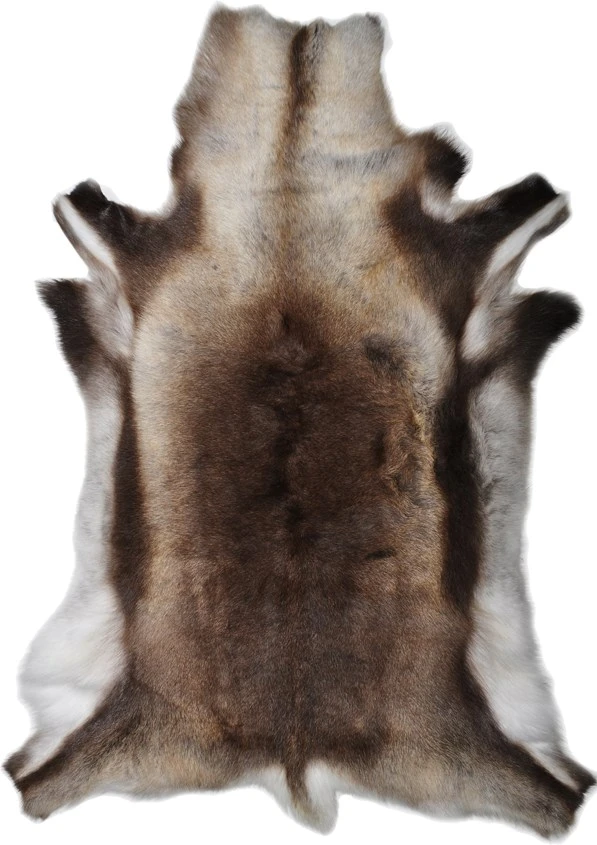 Reindeer Hide Standard - Image 2