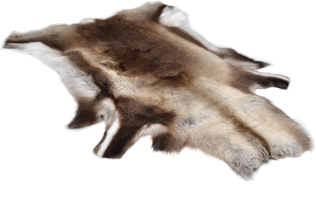 Reindeer Hide Standard