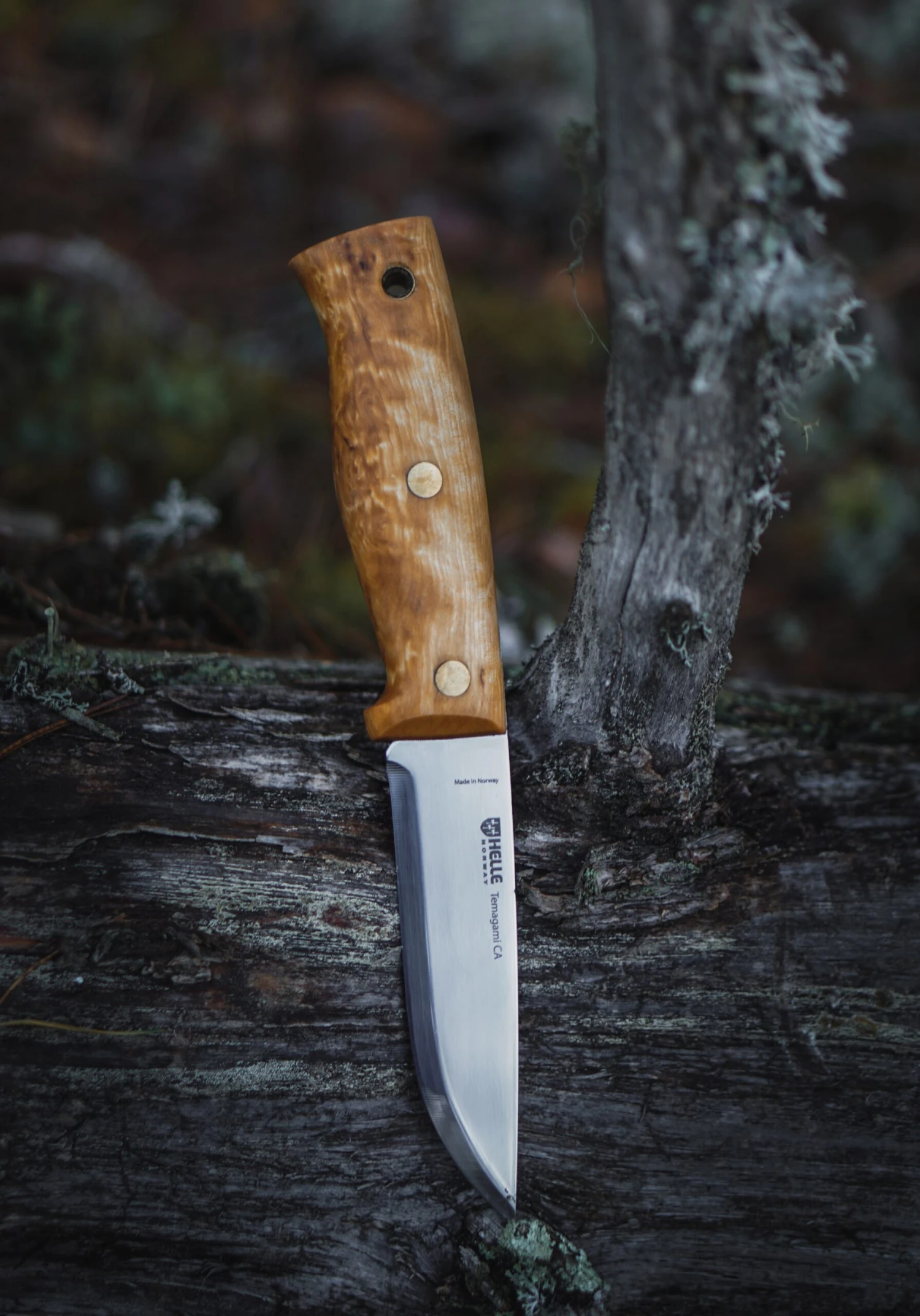 Helle Temagami CA Semi Full Tang Knife - Image 3