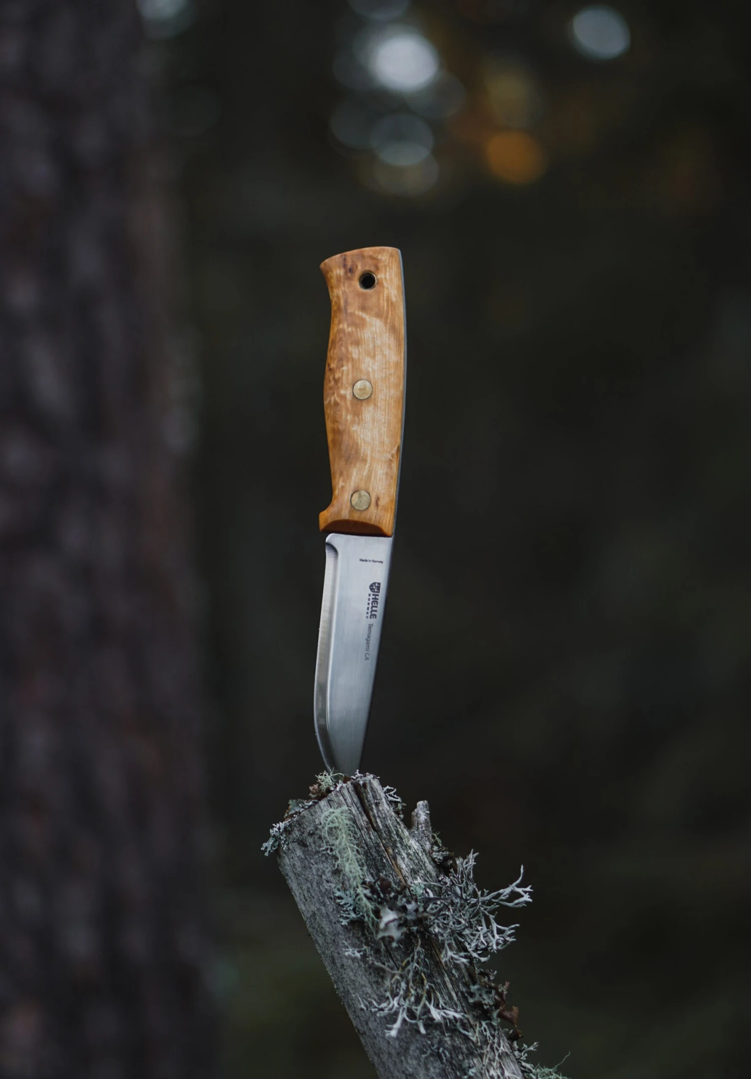 Helle Temagami CA Semi Full Tang Knife - Image 4