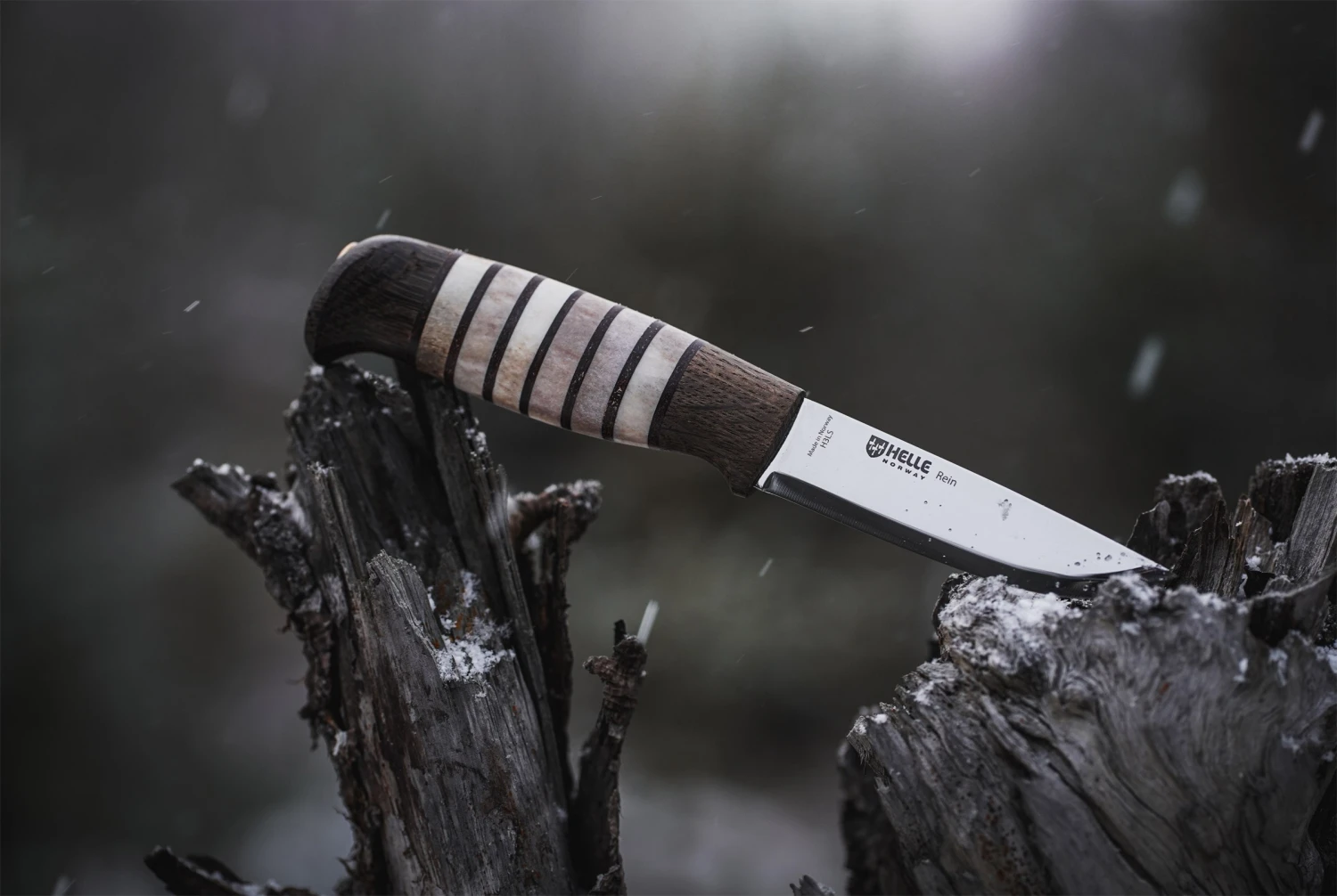 Helle Rein Classic Knife - 2023 Limited Edition - Image 3