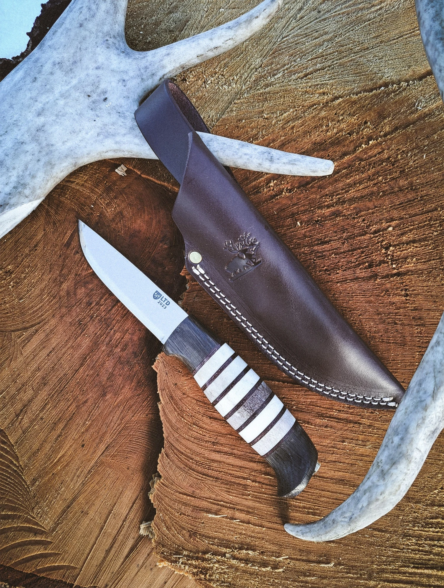 Helle Rein Classic Knife - 2023 Limited Edition - Image 5